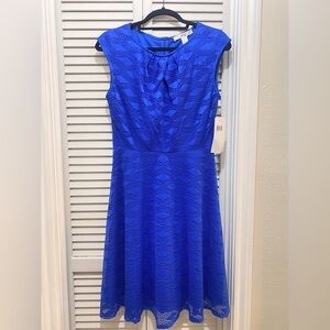 *NWT* Women’s Lace Knit Dress - Size 6 - Blue/Cobalt
